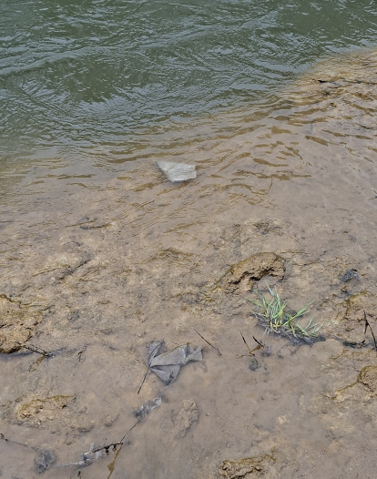 Basura en la orilla del Bernesga en León.
