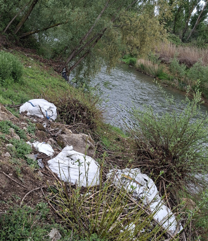 Basura en la orilla del Bernesga en León.