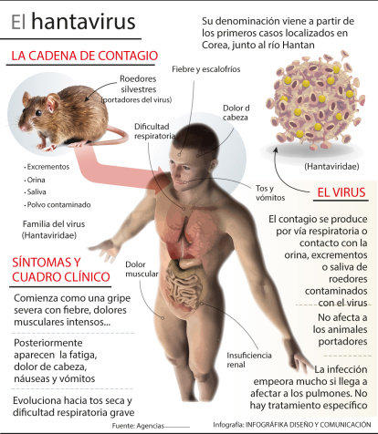 Evolución del hantavirus.