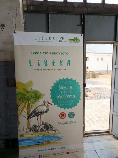 Exposición Libera.