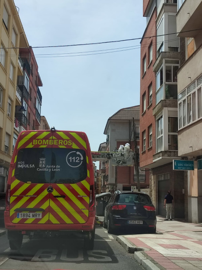Los Bomberos de León retiran un enjambre de abejas en San Mamés.