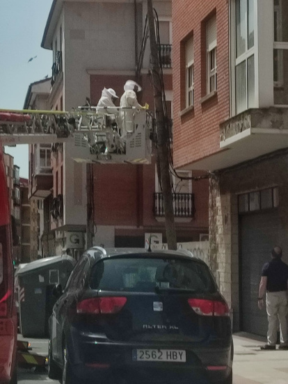 Los Bomberos de León retiran un enjambre de abejas en San Mamés.