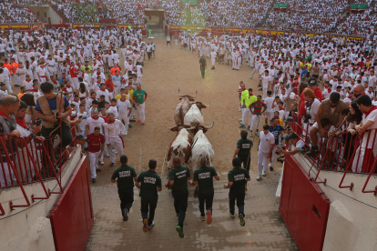 <p>PAMPLONA, 14/07/2026.- Los pastores conducen a las reses a su entrada en la Plaza de Toros, durante el último encierro de los Sanfermines 2026, este martes en Pamplona. EFE/J.P. Urdiroz</p>