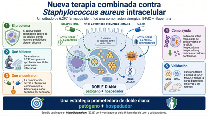 Infograma que explica el trabajo y resultados de la investigación.
