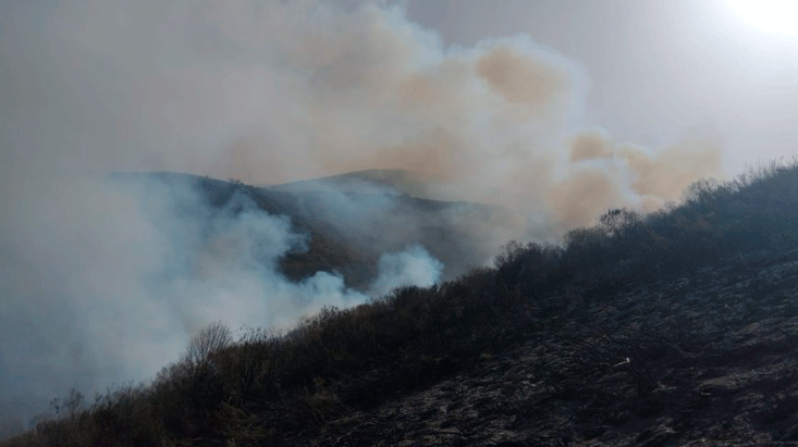 Imagen del incendio declarado en Tonín de Arbás. @INFOCYL