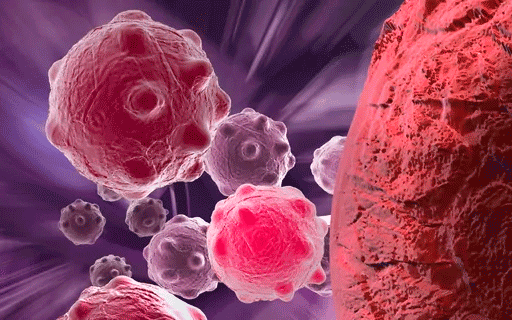 Células cancerígenas.